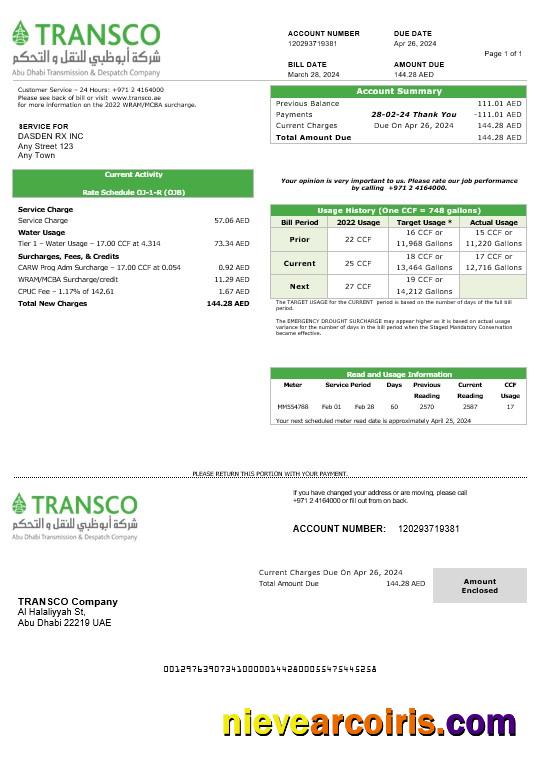 United Arab Emirates Abu Dhabi Distribution electricity business utility bill
